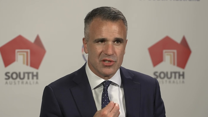 Alcohol delivery restrictions revealed as SA commits to DV royal commission five-year plan