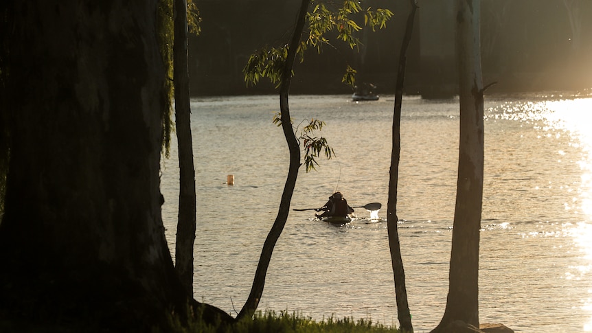 Wet winter sees River Murray roar with unexpected flows and life