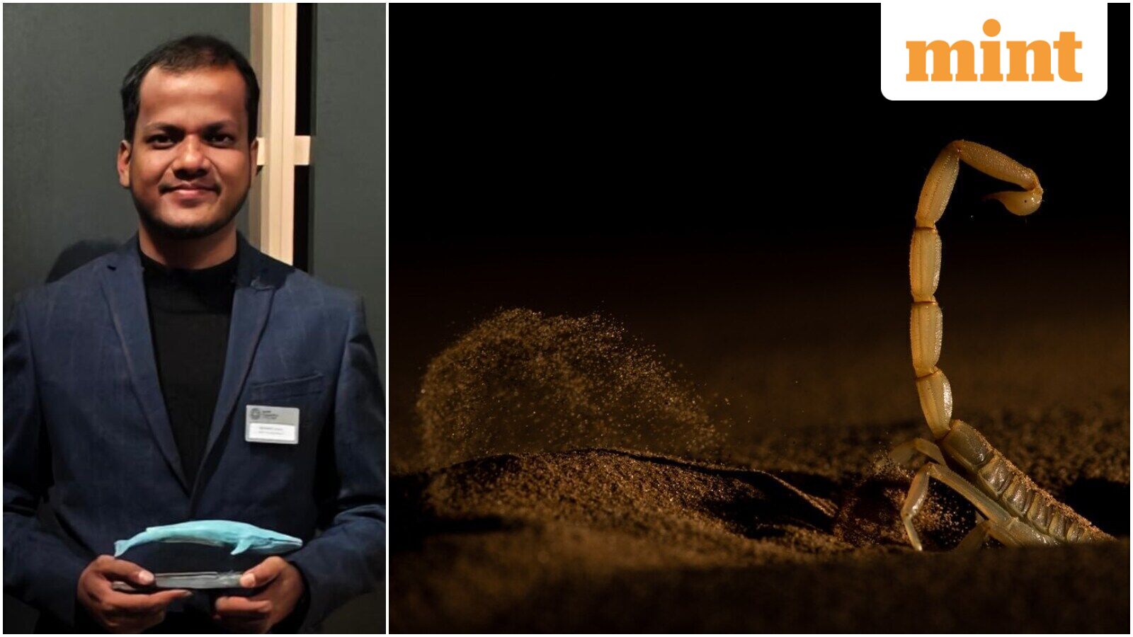 Wildlife Photographer of the Year 2026: Meet India's Sitaram Raul who won the award for scorpion image in Rajasthan