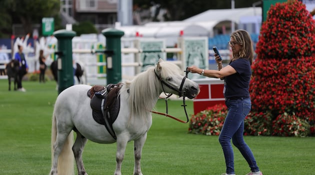 More than 120,000 people expected at this year’s Dublin Horse Show