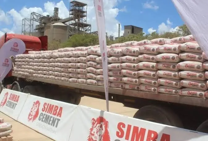Devki plans multi-billion-shilling cement plant in Nyeri