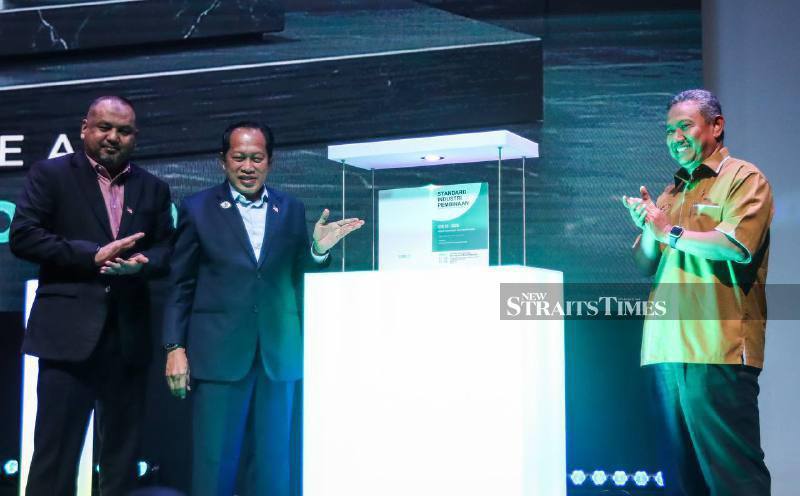 Poor contractor management behind 75 per cent of delayed, sick projects - Ahmad Maslan