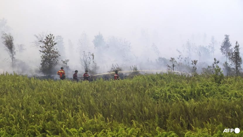 Make it rain: Indonesia chases clouds to stem El Nino fires