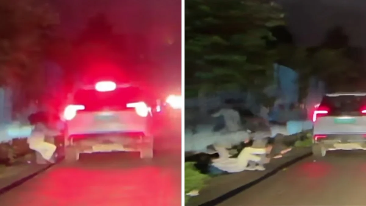 Mira Road Hit-And-Run: SUV Rams Into 4 Near JP Back Road, Driver Flees; Dashcam Video Goes Viral