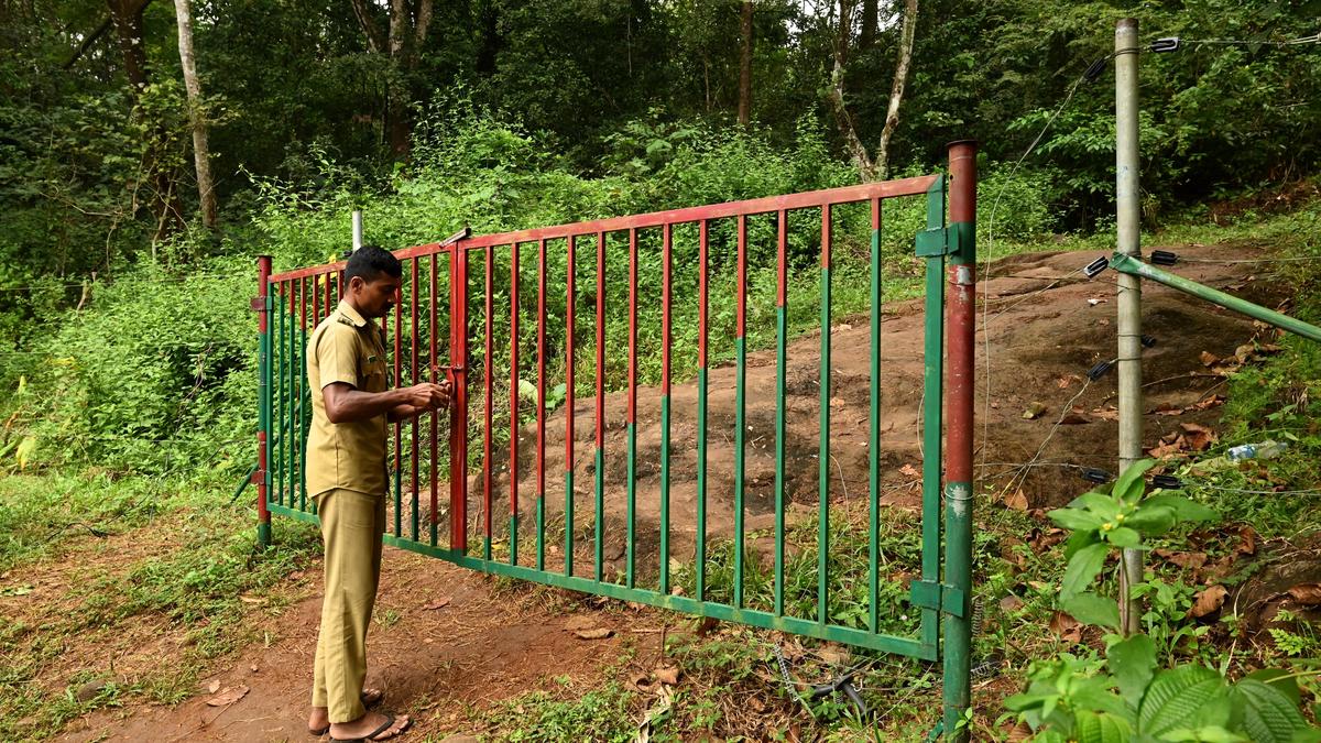 Permission can’t be granted to shoot film starring Mohanlal: Periyar Tiger Reserve tells Kerala HC