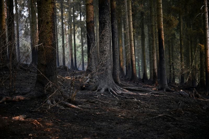 Analysis-Climate damage: the next hit to Europe’s public finances