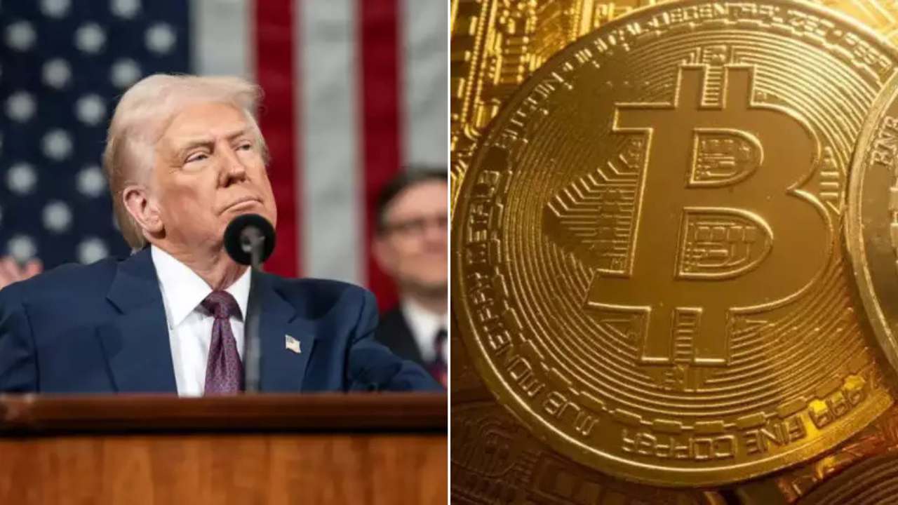 Trump crypto firm backs venture offering AI from restricted Chinese companies