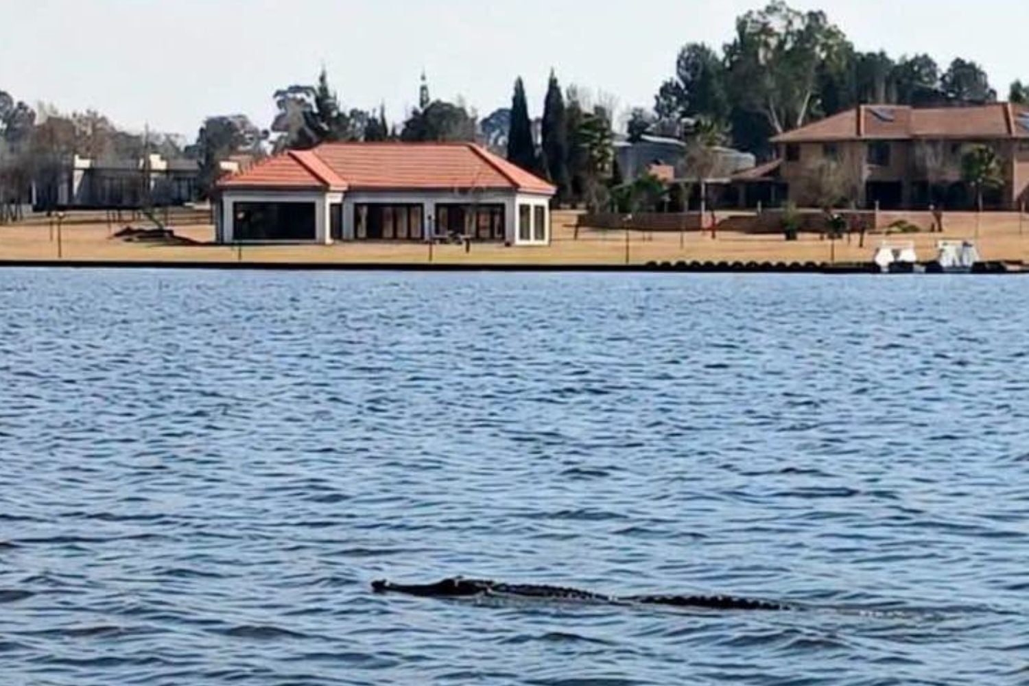 Crocodile in the Vaal: Swimming discouraged, R20k reward offered as community on the alert