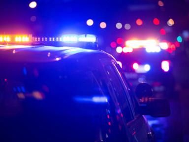 12 injured, including 6 children, in shooting near Florida university, police say