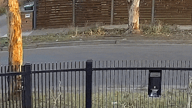 Hit team captured surveilling gang boss’s house hours before attempted murder