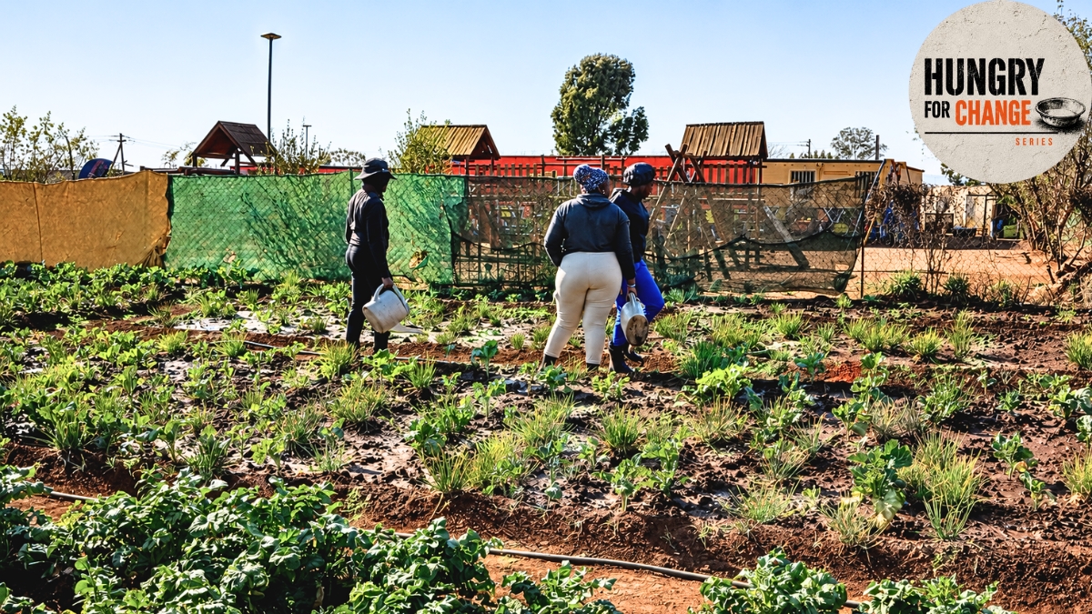 Part 7 | ‘No hunger here’ – How a Lenasia community garden helps unemployed families put food on the table