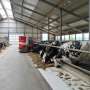 Microorganisms show promise for reducing emissions from manure