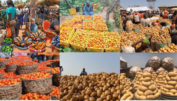 Food systems transformation requires coordinated policies, sustained collaboration — George