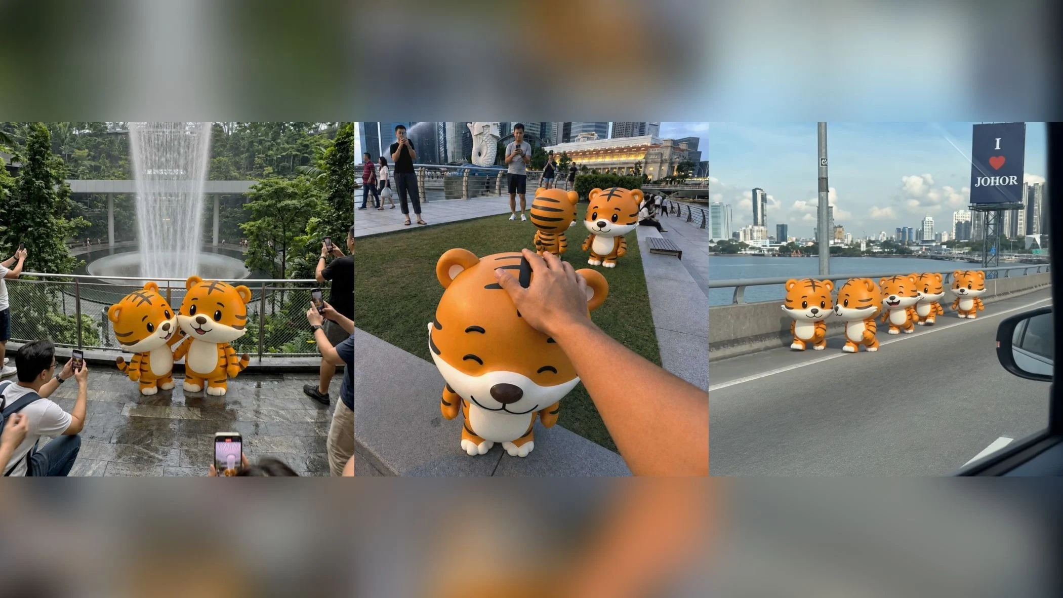 Cute Tigers Have Been Spotted All Over The Globe; Here’s What They Mean!
