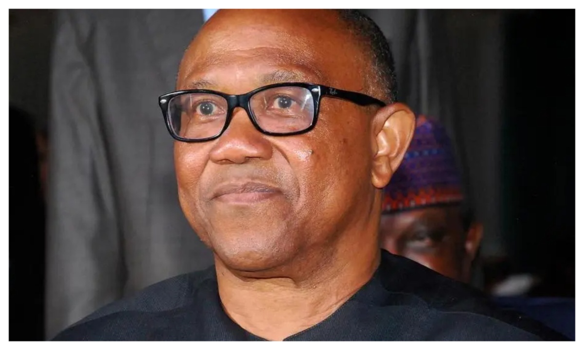 'NDC campaign council full of content creators' - Presidency mocks Peter Obi
