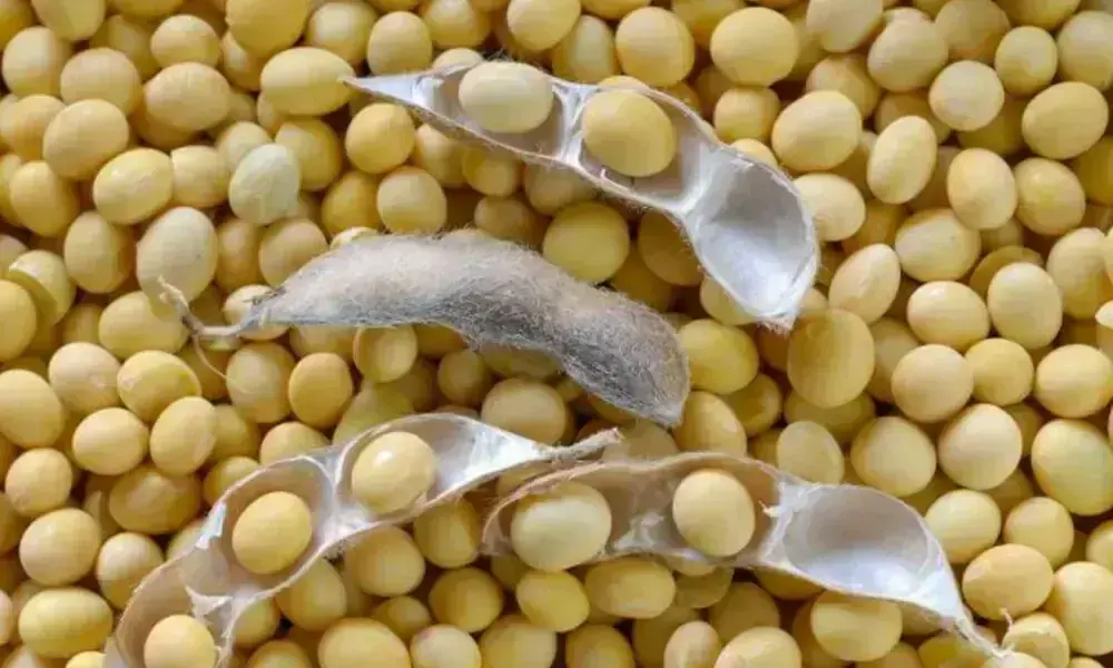 Soybeans rise to 3-week high on US crop woes, Chinese demand
