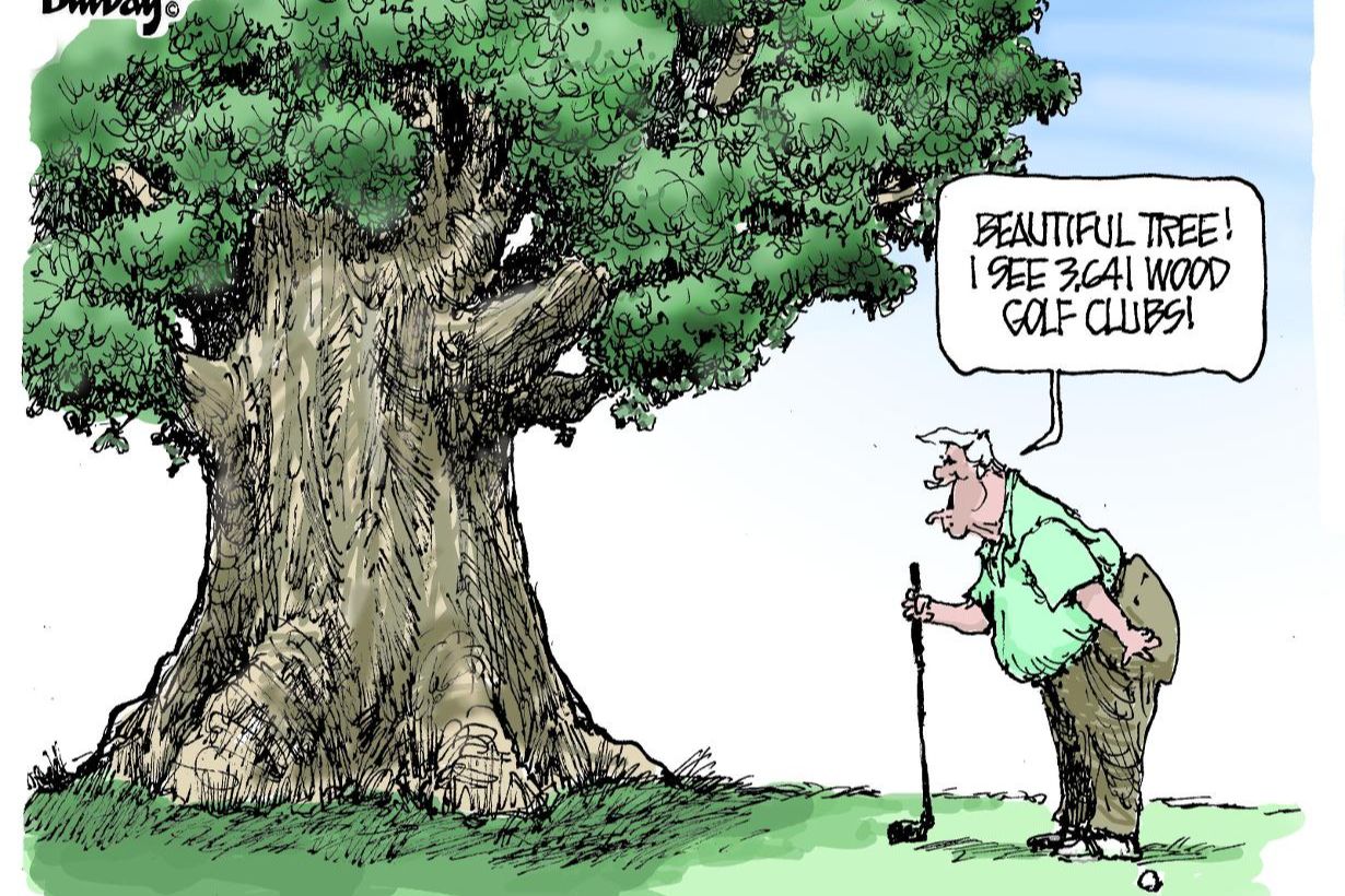 Golfer sees tree as golf clubs
