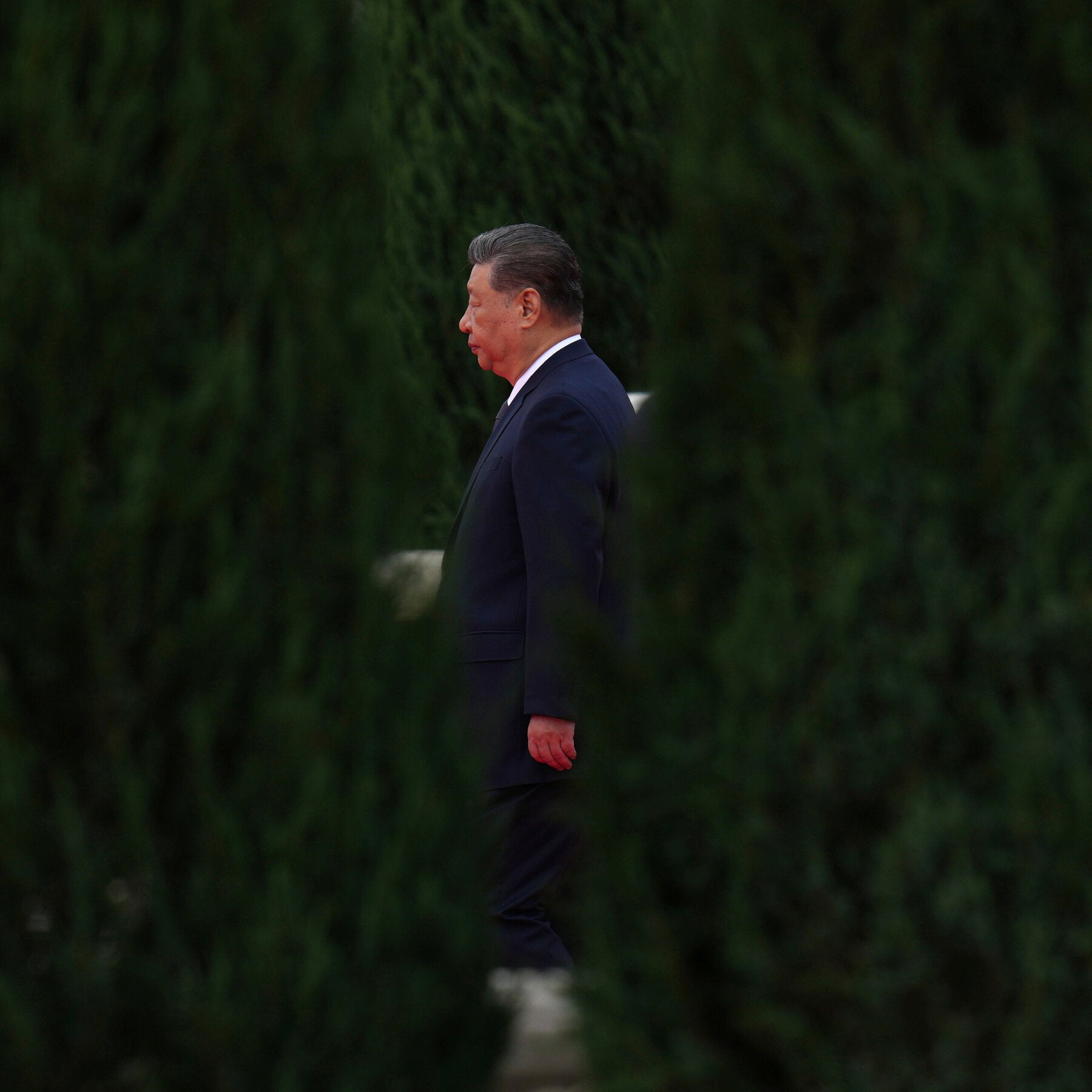 ‘Pull Out the Sick Trees’: Xi’s Constant Purges Pave Way for Next Term