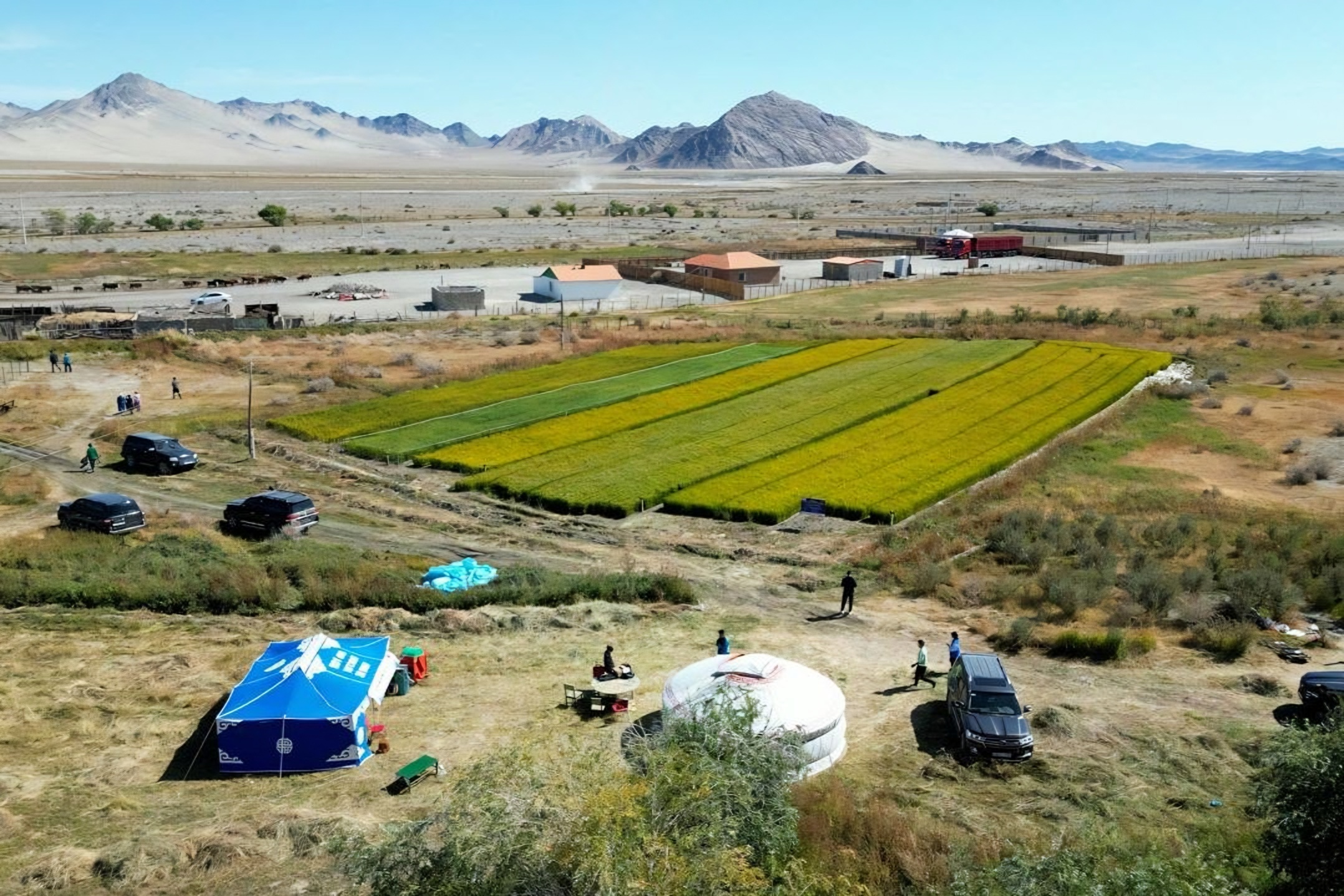 Korea's agricultural outreach innovates Mongolia, Africa, Uzbekistan
