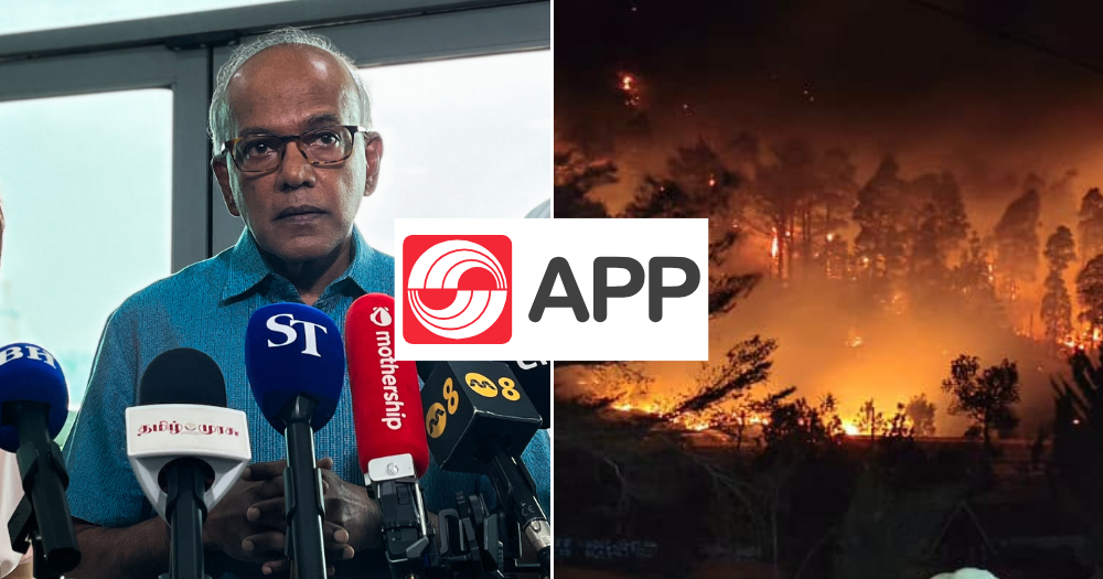 After 11 years, Asia Pulp & Paper has been named again over links to haze fires. What is it & what's the S'pore connection?