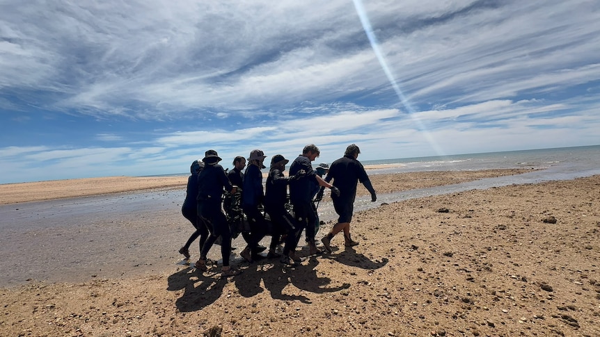 Rescuers praised after hauling young dugong to safety