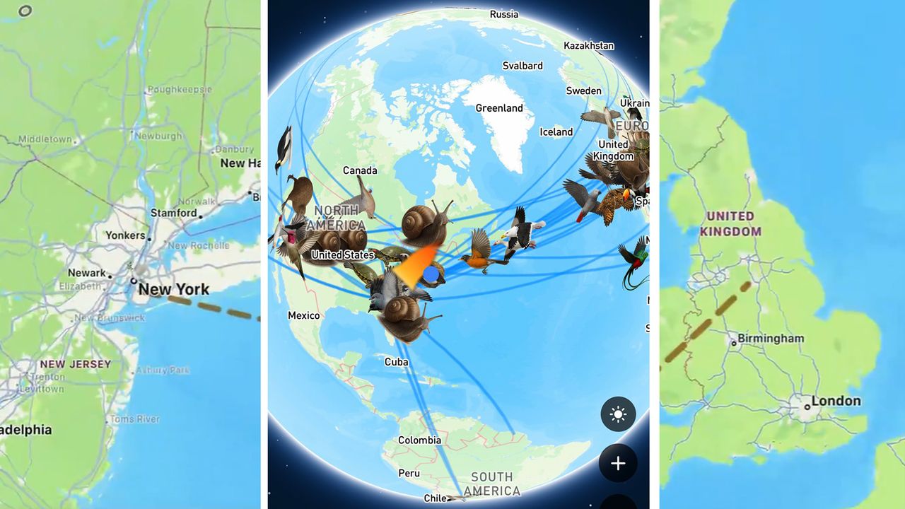 Forget dumbphones, this viral app lets you send messages by virtual pigeon