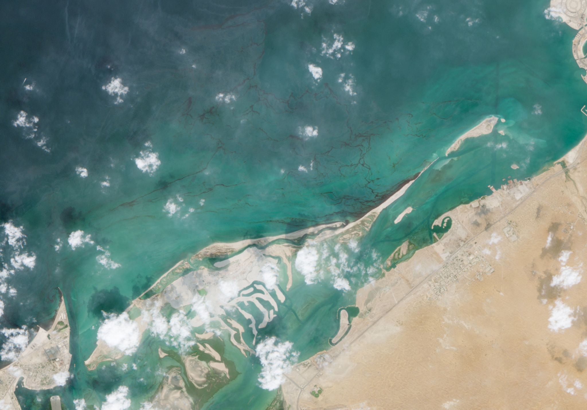 Oil spill closes beaches across northern UAE