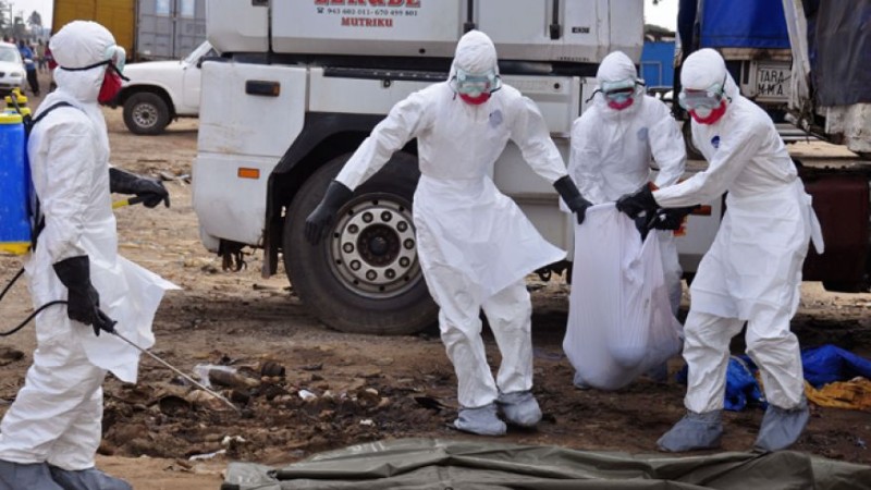 Ebola: Attackers kill nurse, injure health worker responding to case in DRC