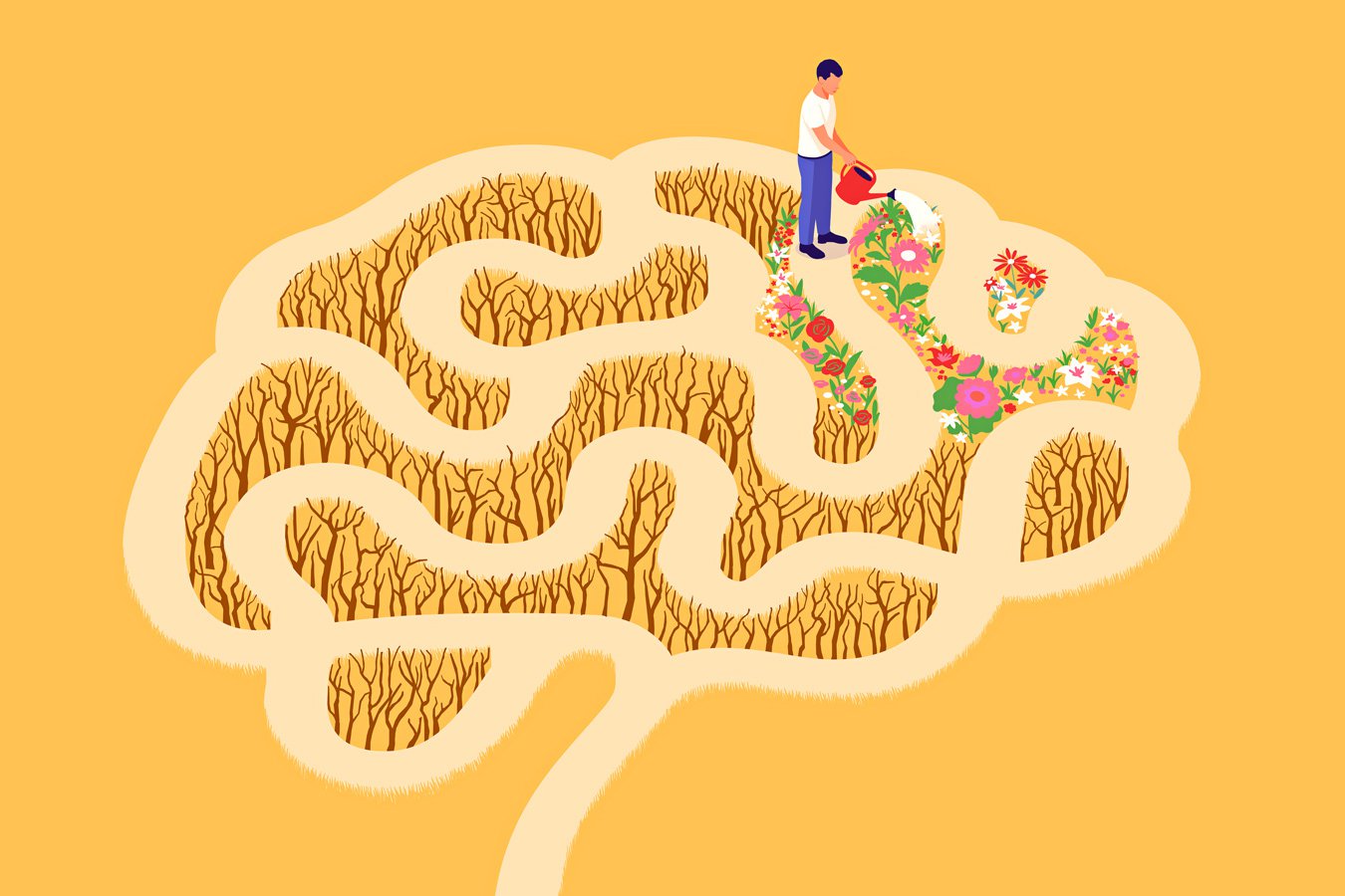 Your brain’s unexpected ability to regenerate and how to harness it