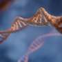 AI-based computer model offers new weapon against hard-to-treat cancers