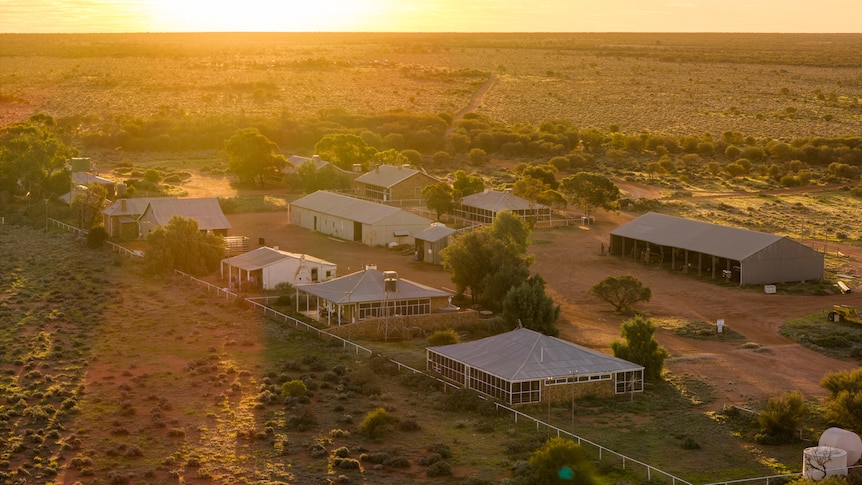 Australia's largest contiguous sheep station sold to Adelaide businessman