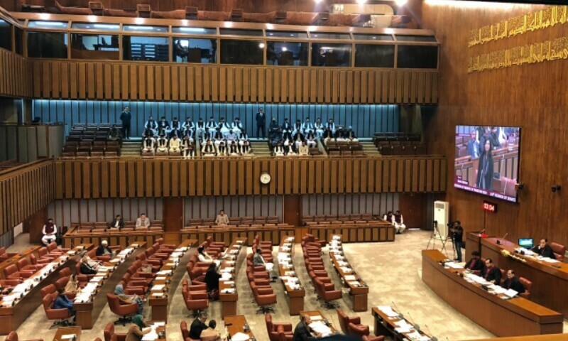 Senate blocks move to withdraw diplomatic passport privileges from state ministers, advisers