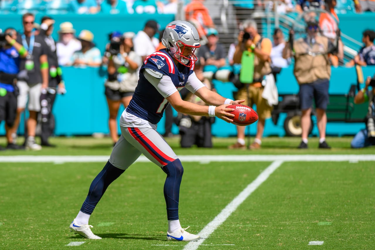 Patriots release veteran punter Bryce Baringer
