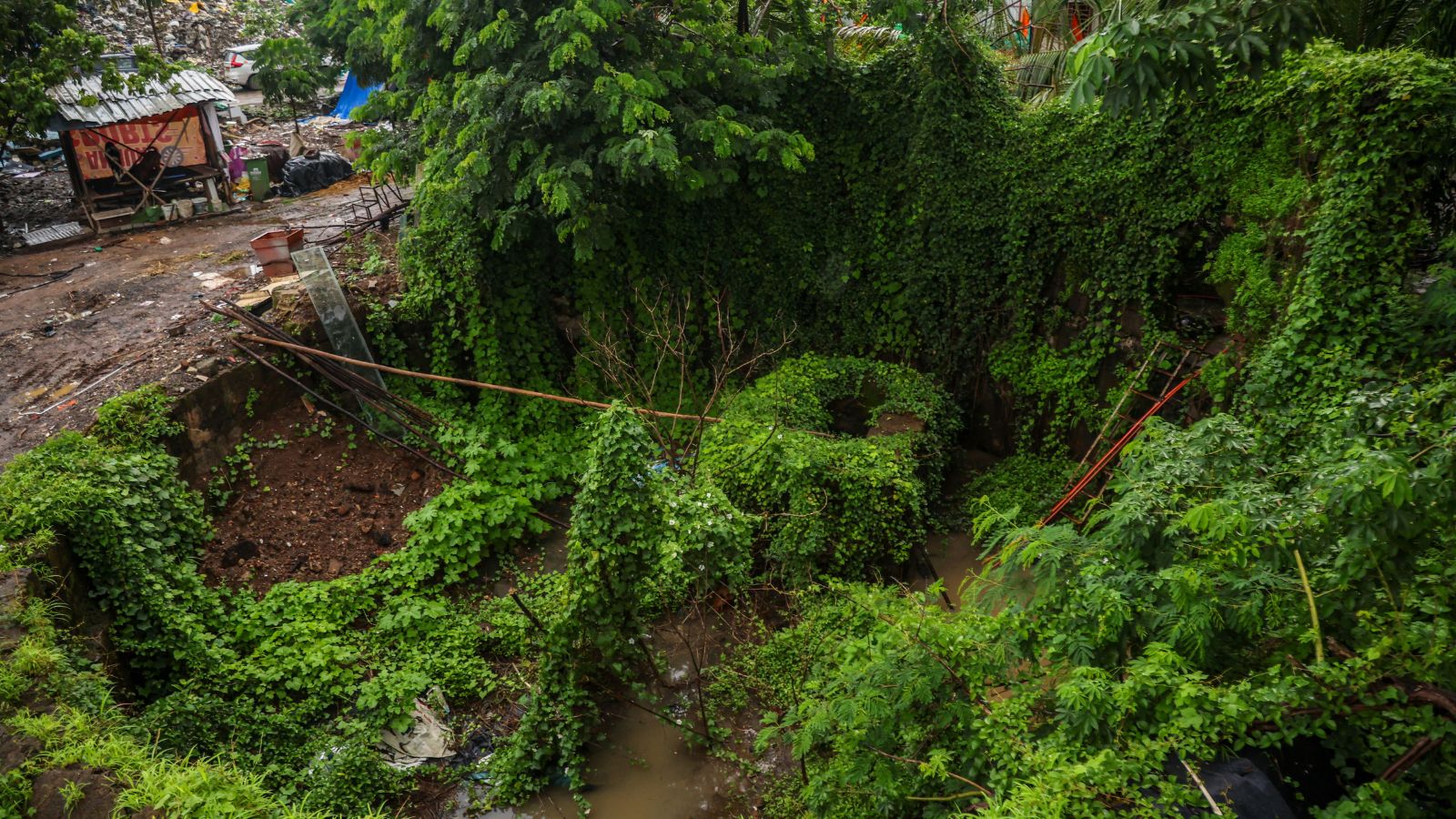 Rescued from ruins, weed and decay now devour 400-yr-old Portuguese bastion in Mumbai