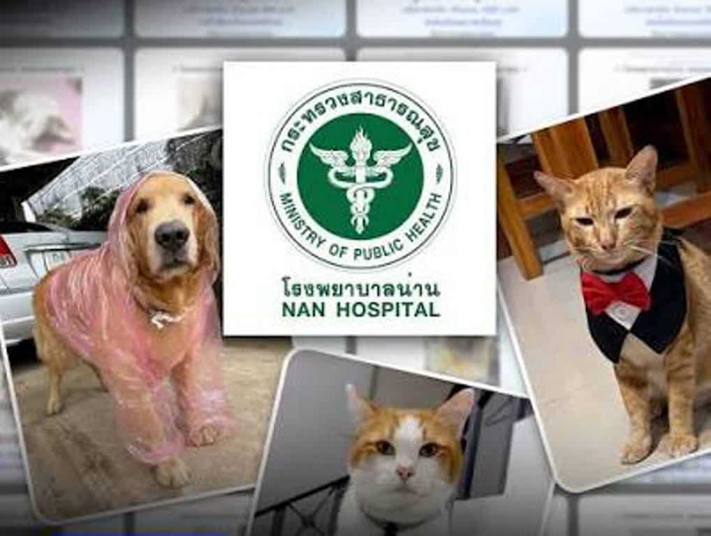 Mae Chan Hospital Launches Pet Name Donation Program