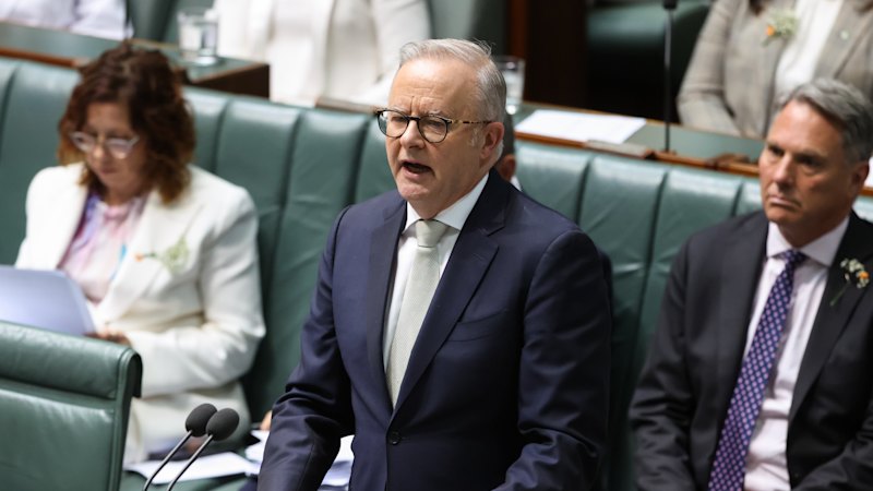 Albanese confirms bolstered security for MPs after Haines attack