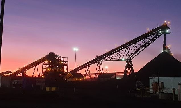 Mining giant BHP raises dividend as copper becomes 'engine' of growth amid data centre boom
