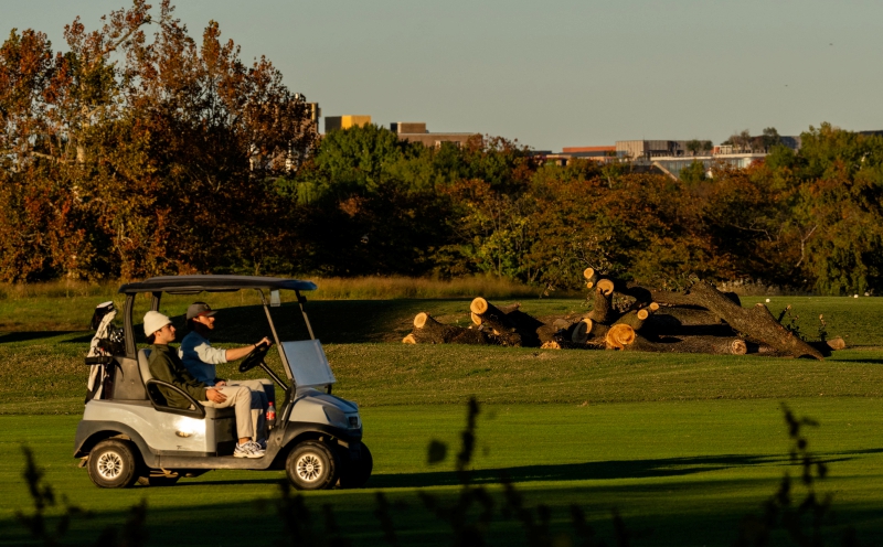 US judge halts tree-cutting at Trump's DC golf course project