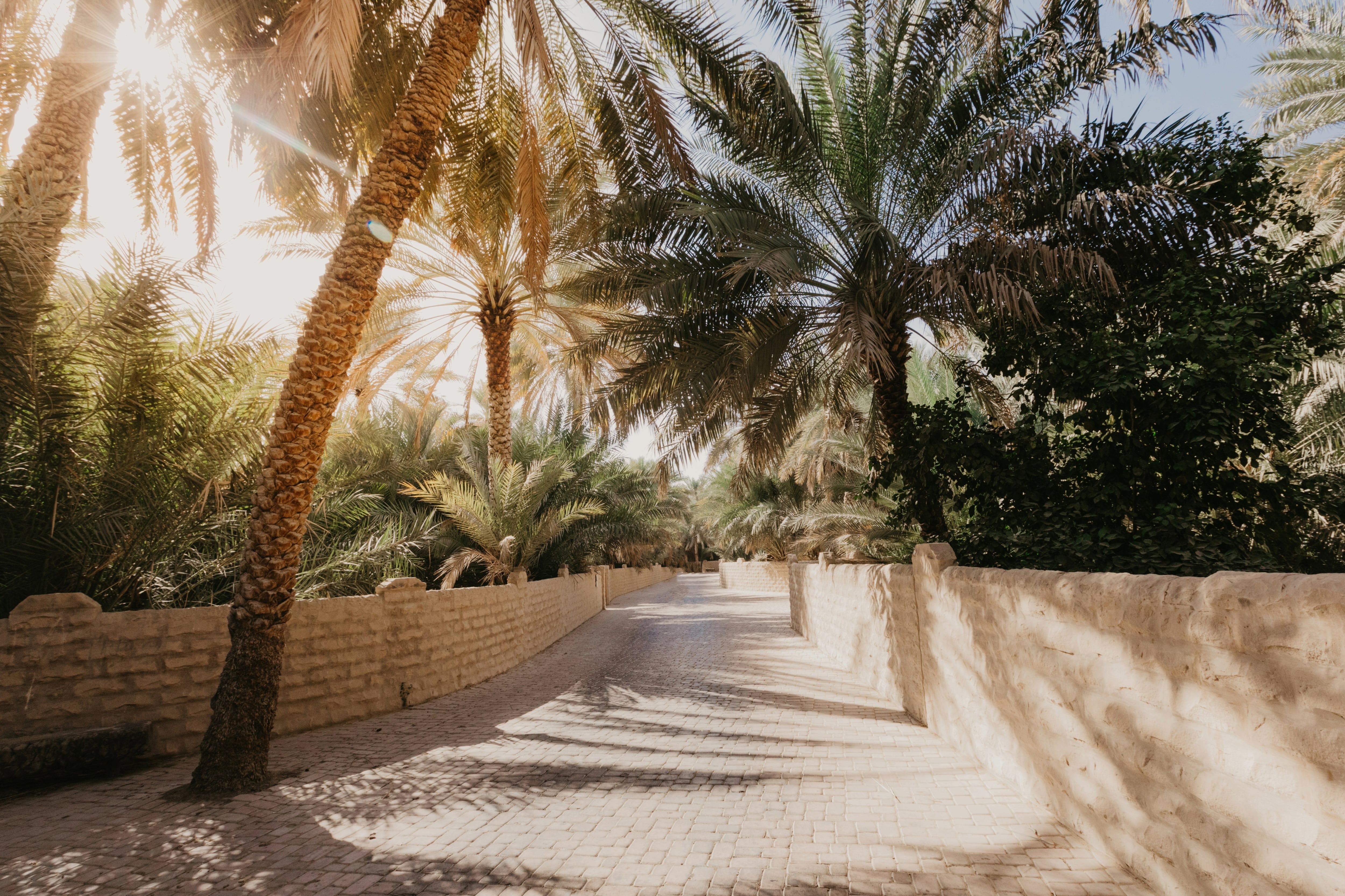 Disney showcases Al Ain Oasis and Qasr Al Hosn during D23 convention