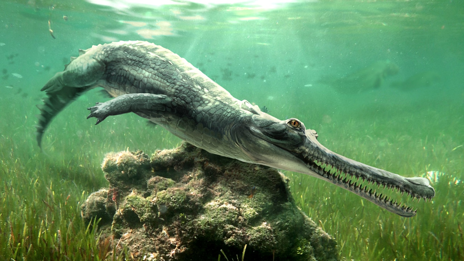 Fossils found in Egypt’s Great Sphinx rocks reveal an extinct crocodile resembling India’s gharial