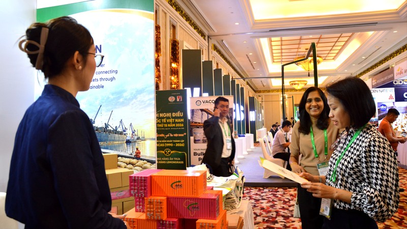 Vietnam's cashew exports exceed US$4.2 billion in first 10 months