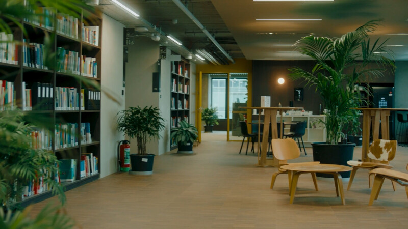 How everyday technology choices drive true workplace sustainability