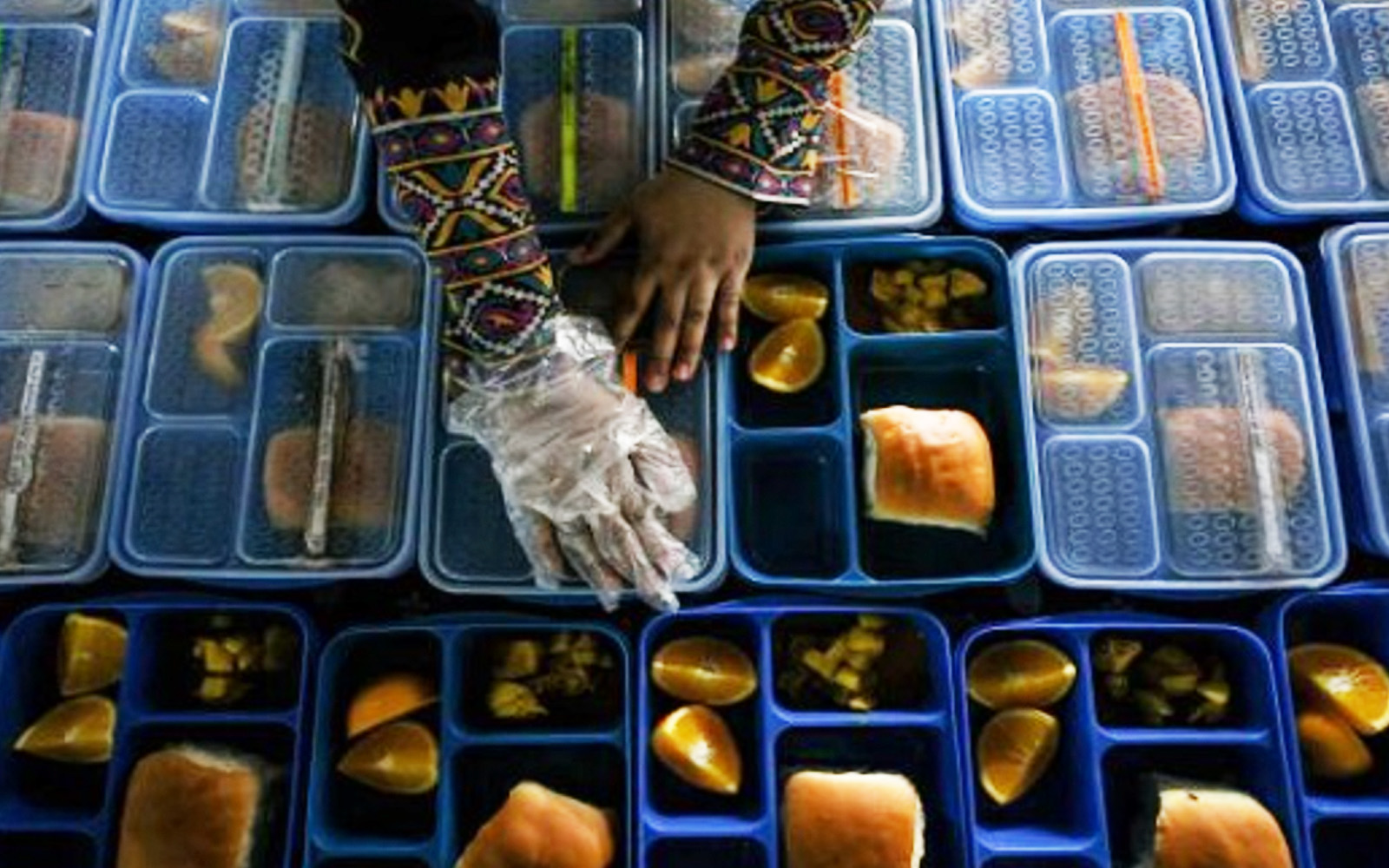 Education ministry to probe school meal tender allegations