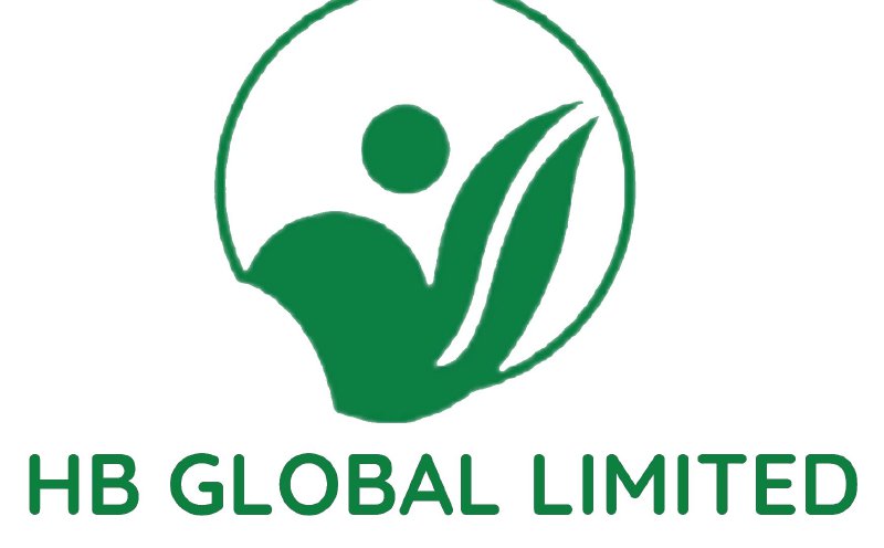HB Global unable to meet FY26 annual report deadline