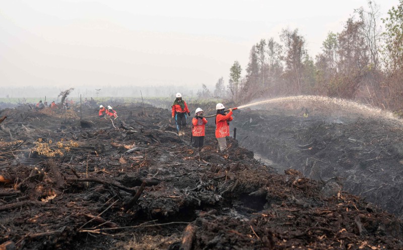 Indonesia to hold technical talks with Malaysia on forest fire assistance