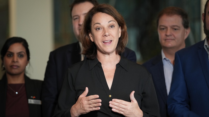 Crossbench push to give Australians a free way to fight back against big tech