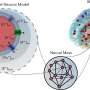 Making virtual brain models more biologically realistic by capturing ion exchange