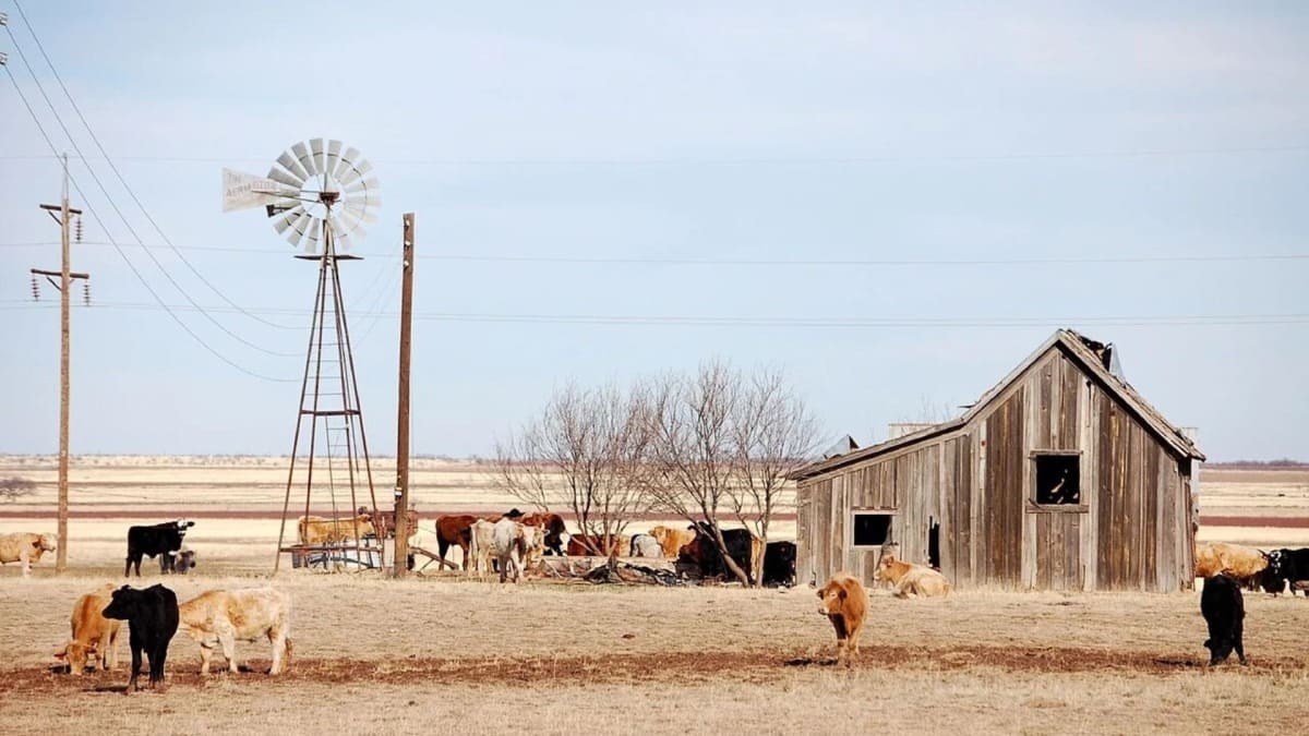 Indie film reportedly denied Texas tax credit over abortion storyline