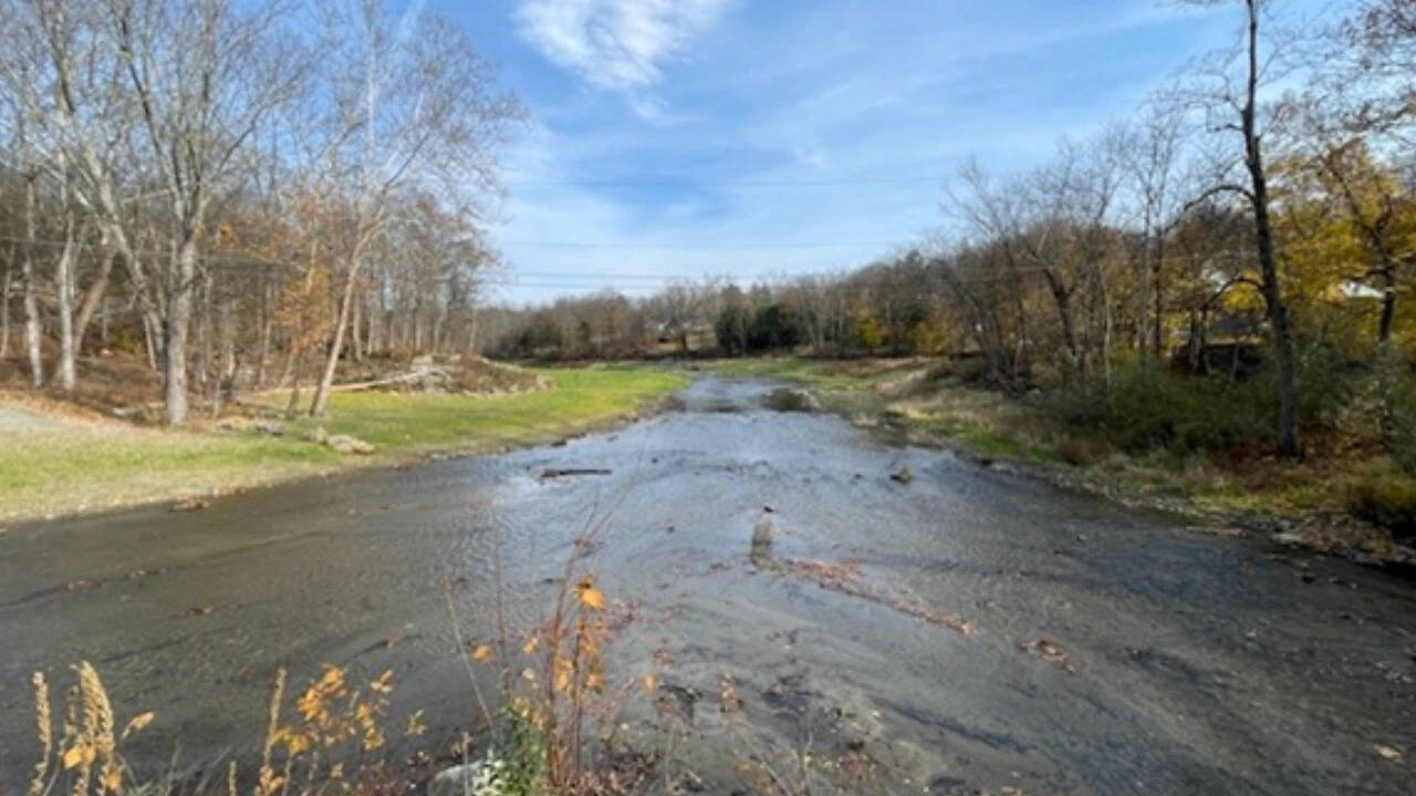 New Jersey's 2019 dam removal brings eels and shad back upstream, study finds