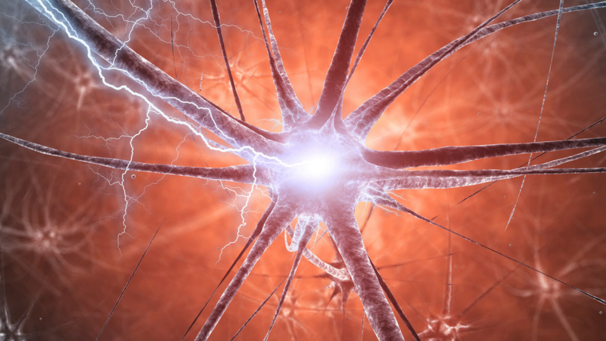 Mice With Parkinson's-Like Brain Changes Unexpectedly Recovered a Year Later